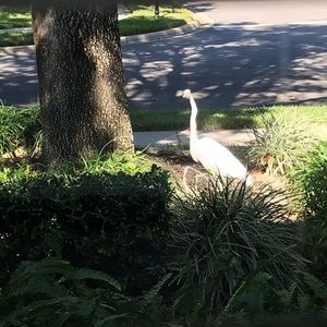 Meet your Posher, Rhonda